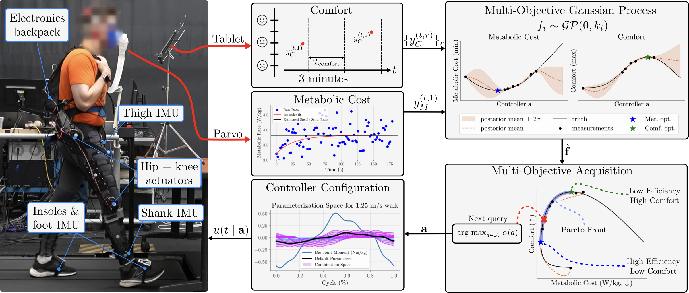 MO-HILBO method overview: feedback collection, belief update, and acquisition-driven querying on the exoskeleton.